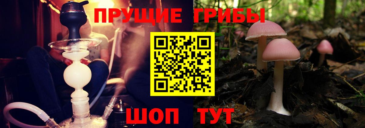 Мончегорск  Псилоцибиновые грибы прущие грибы  Вход с VPN 