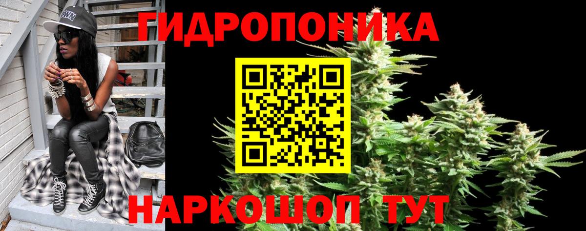 Конопля индика Мончегорск